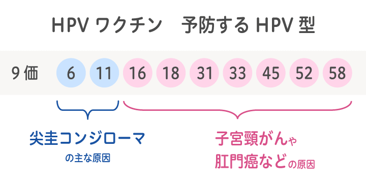 HPVワクチン 予防するHPV型